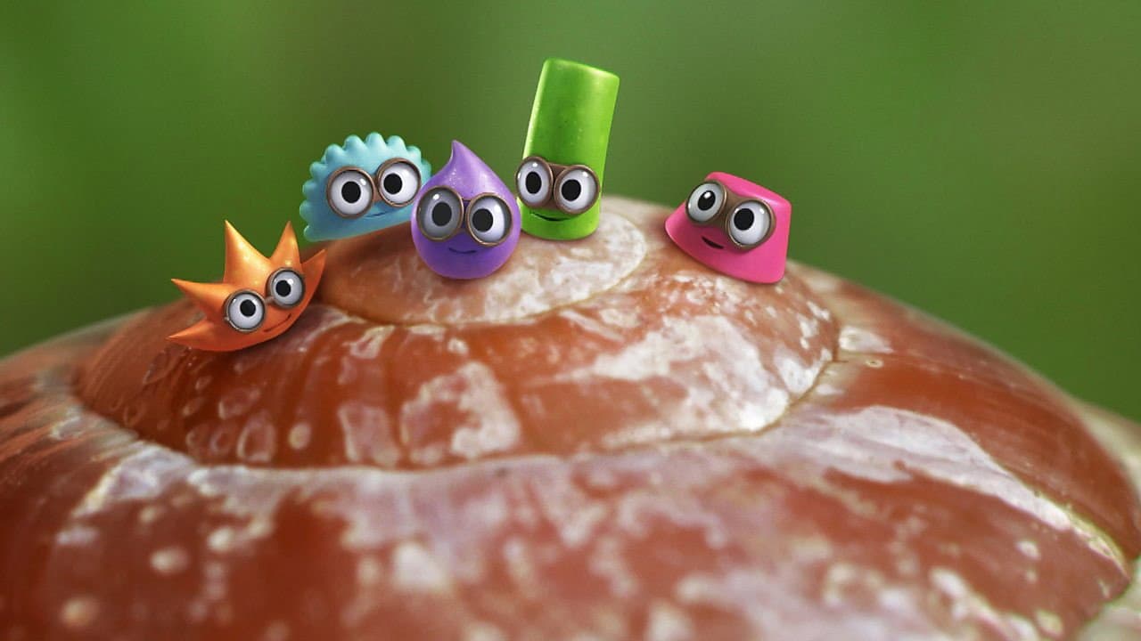 Tiny Wonders