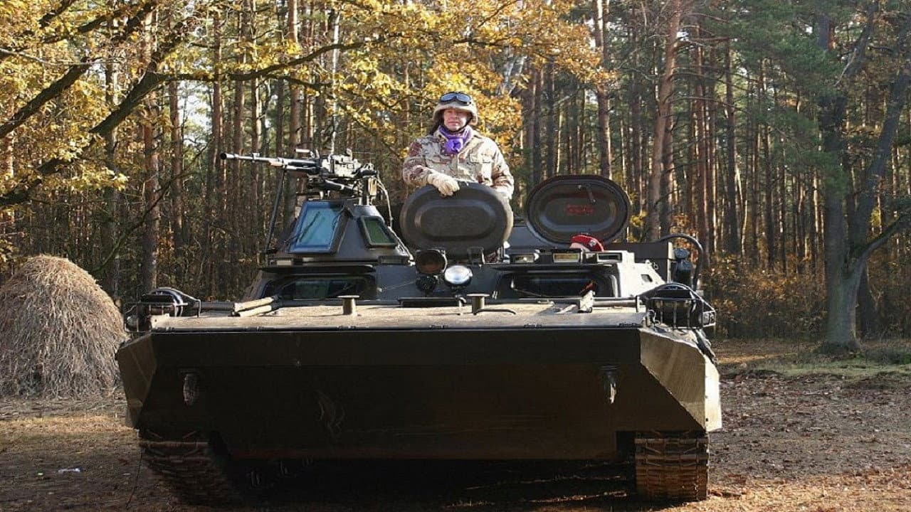 Dziki