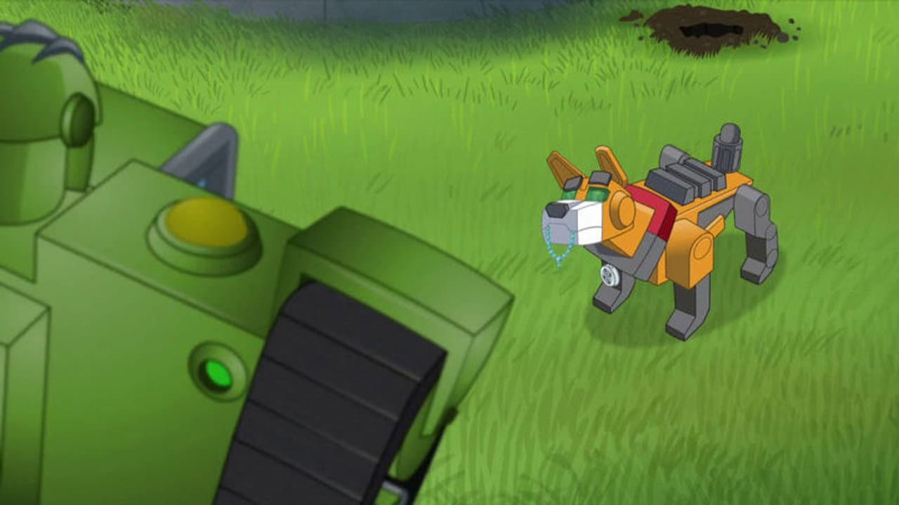 Four-Legged Hero