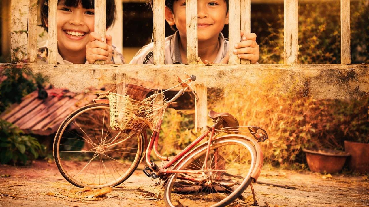 The Bicycle
