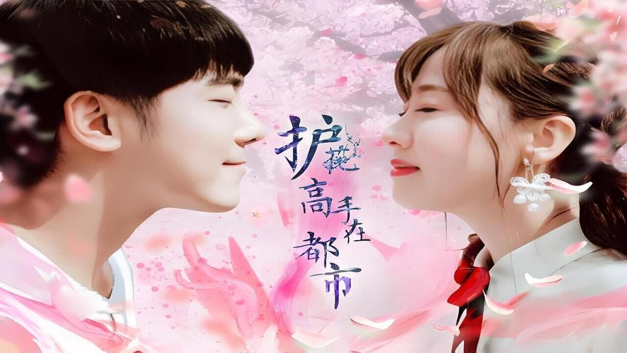 护花高手在都市