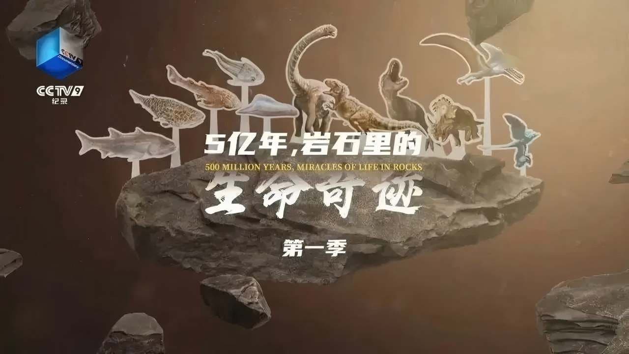 5亿年，岩石里的生命奇迹