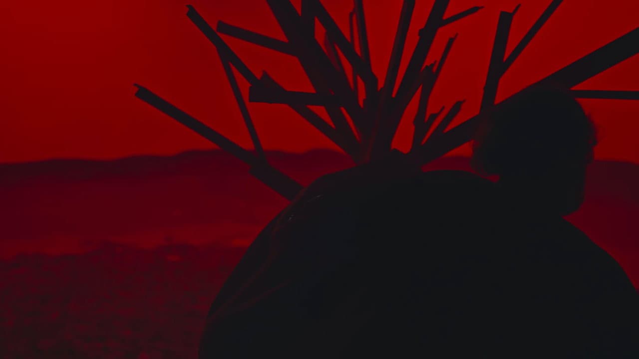 Despertos