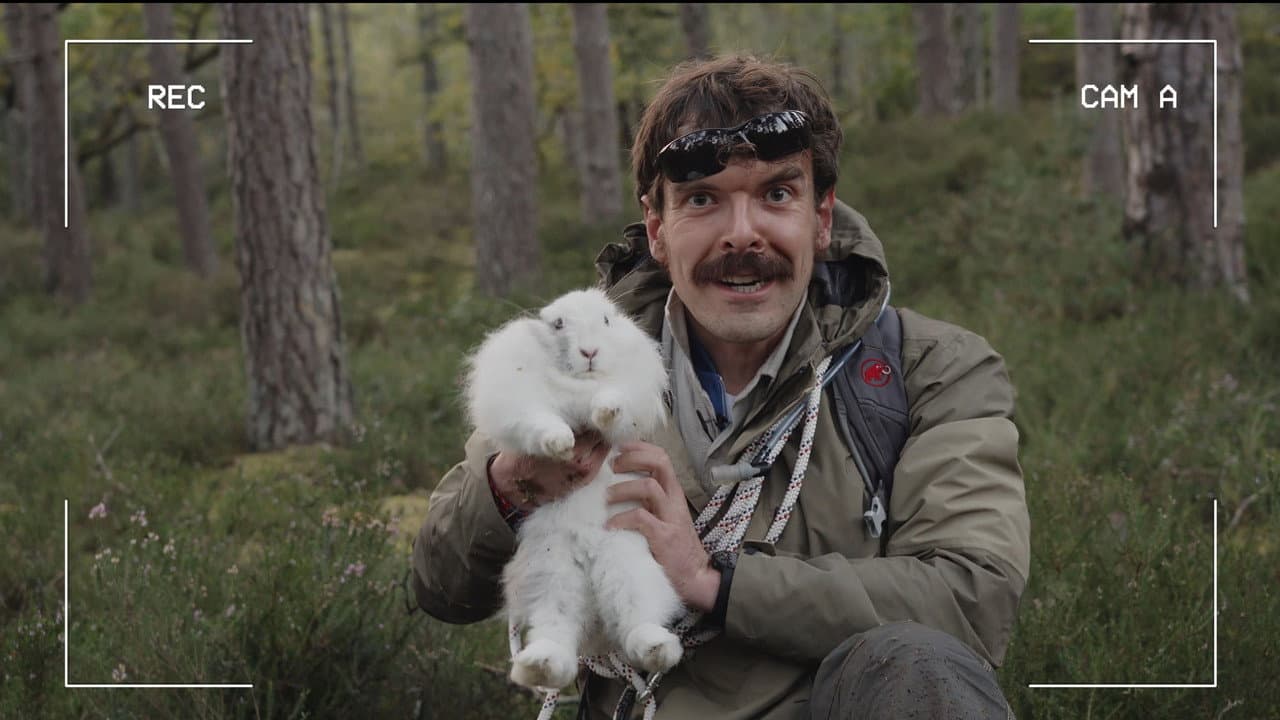 Midwild