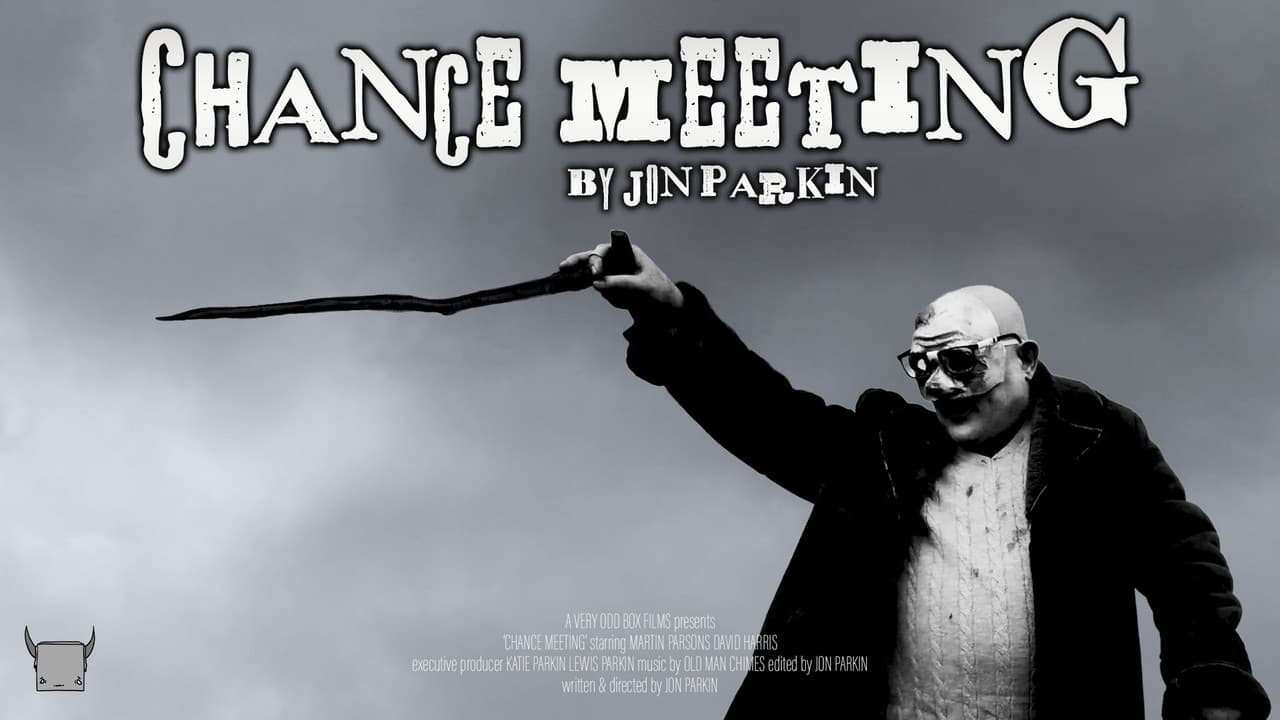 Chance Meeting
