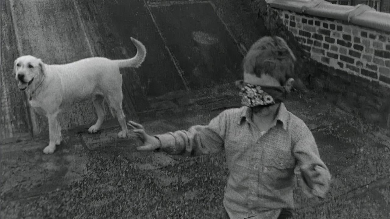 Born to Film