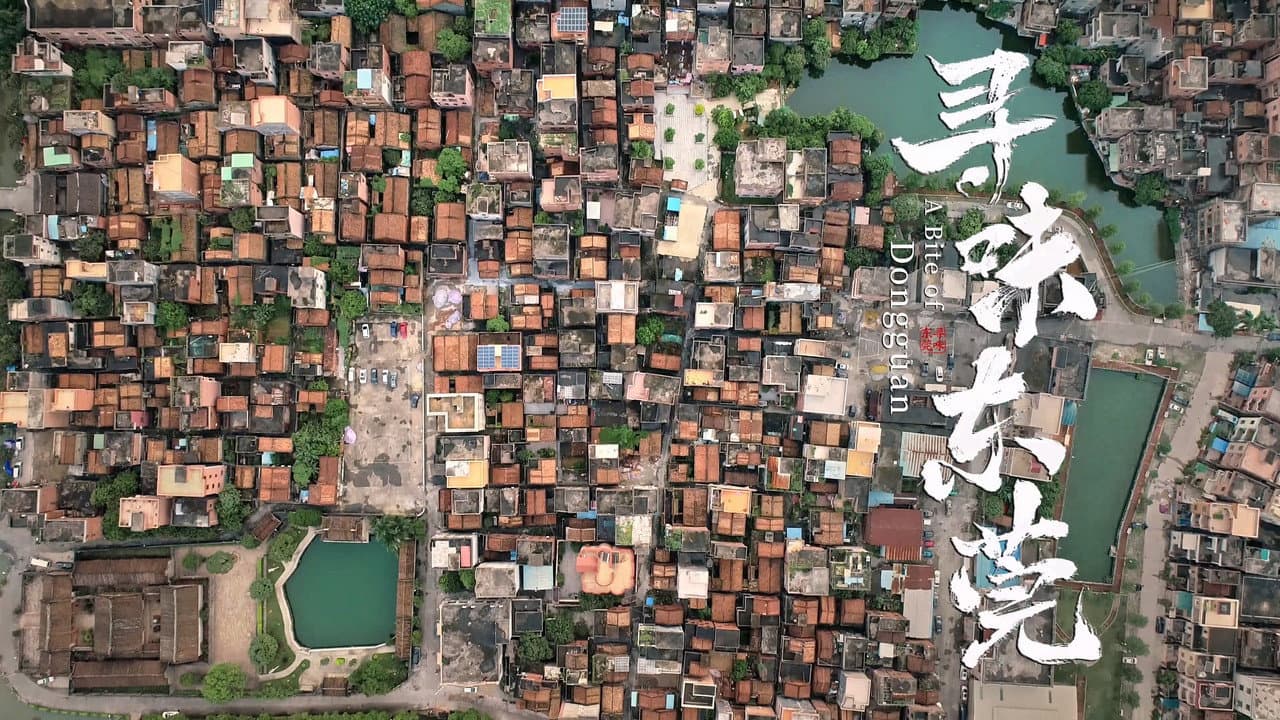 A Bite of Dongguan