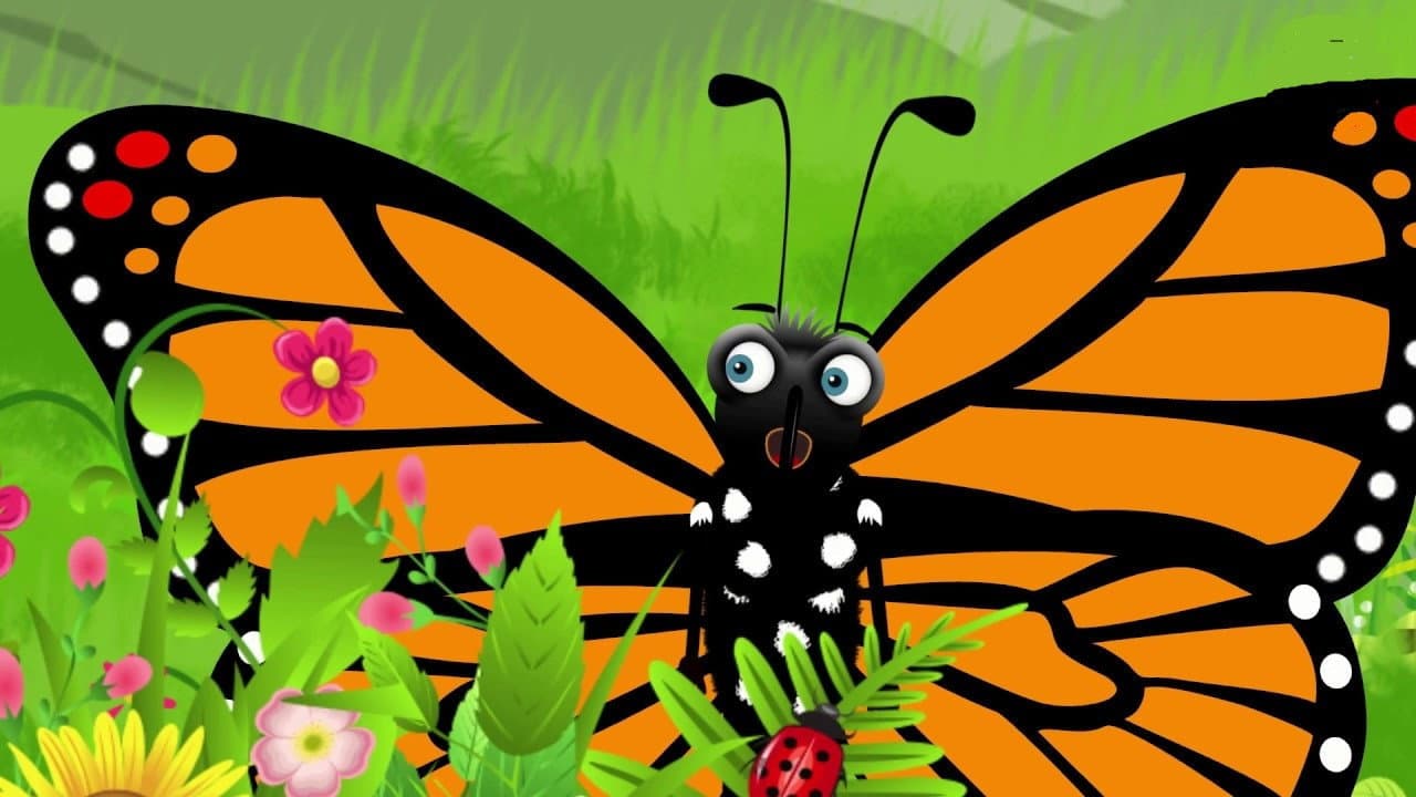Moth