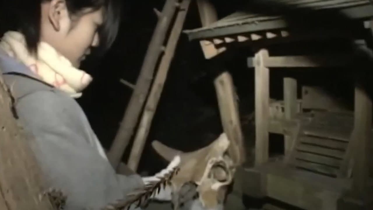 Really! Cursed Video: The Movie 2