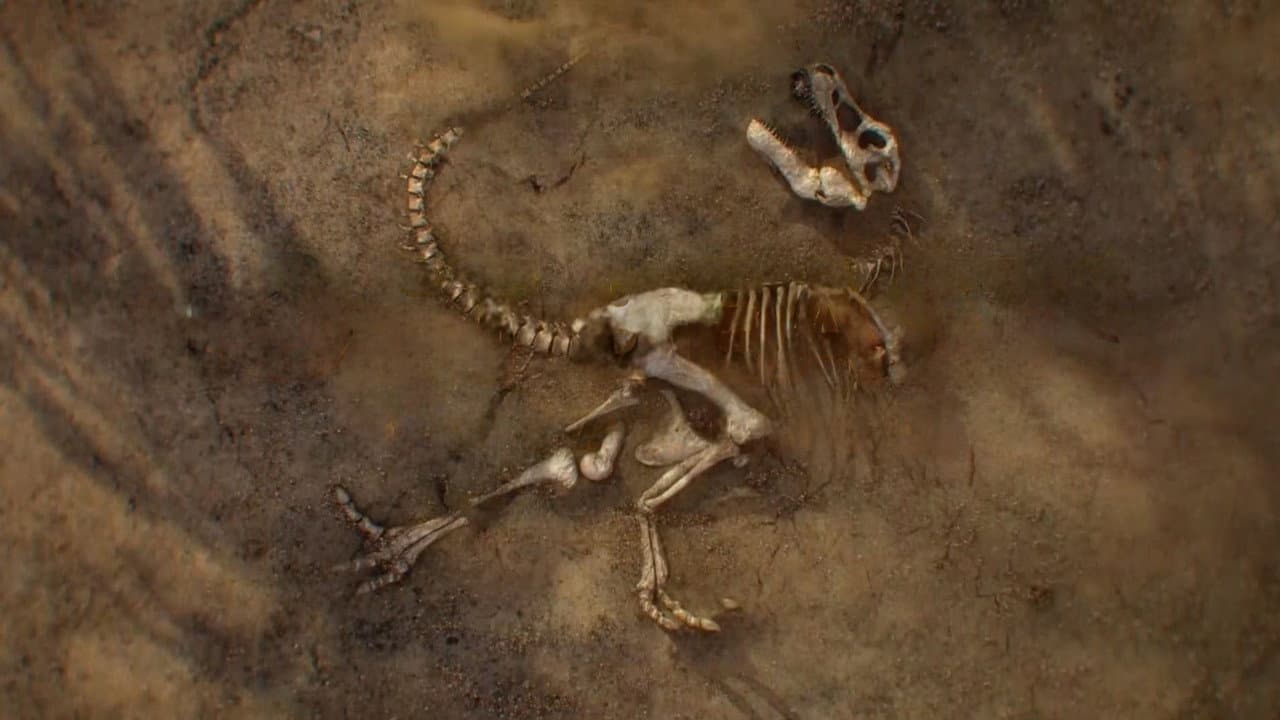 Lost Beasts Unearthed