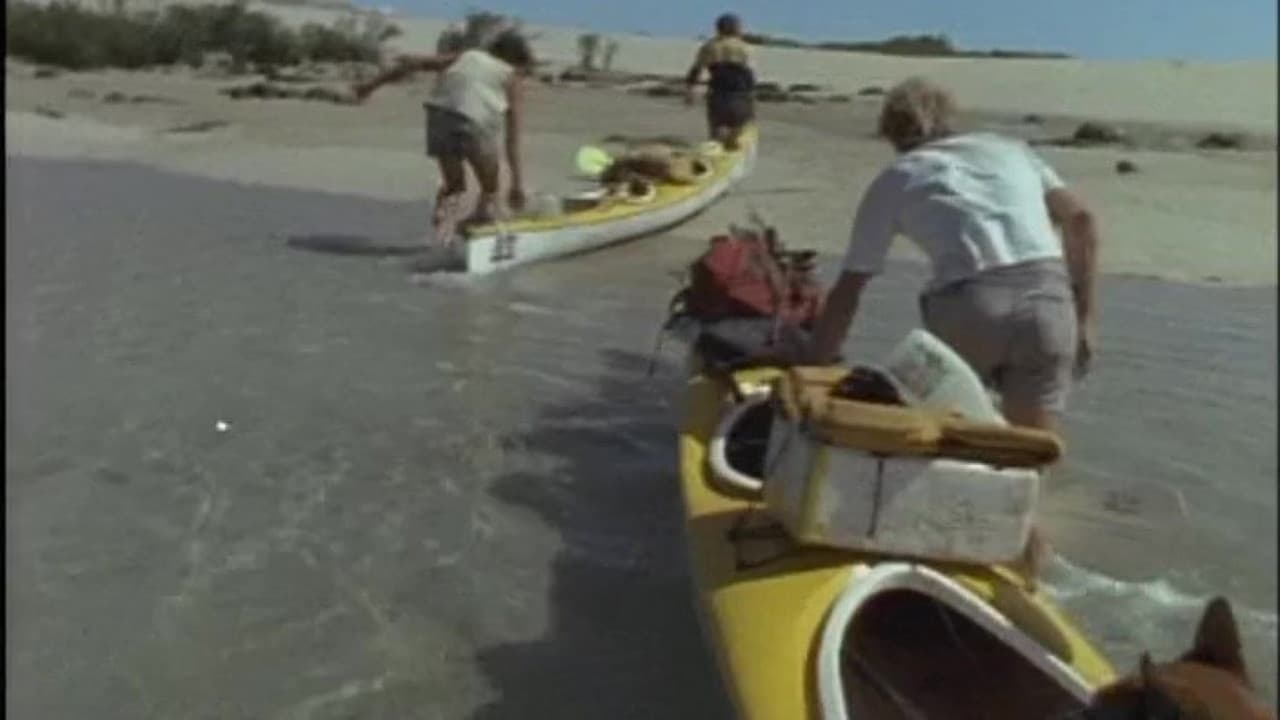 Kayaks In The Kimberley