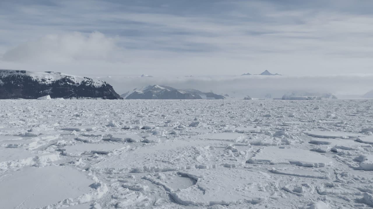 Antarctica in a Warming World