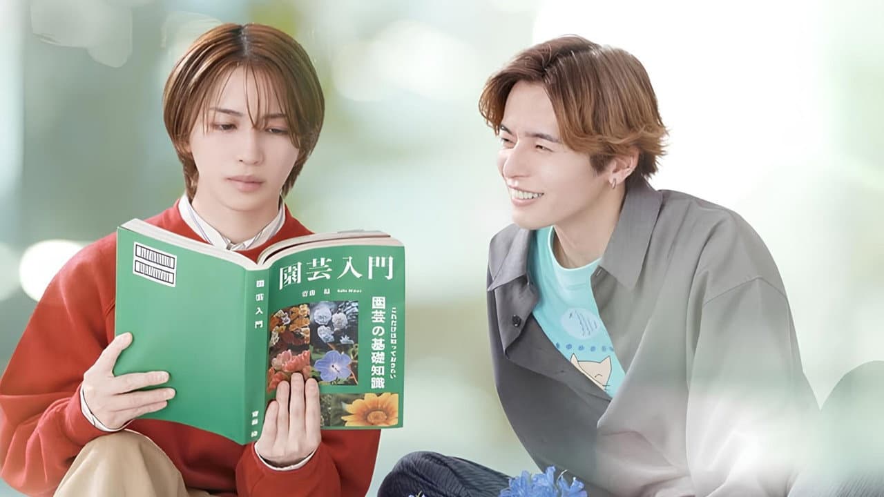 The Proper Way to Write Love