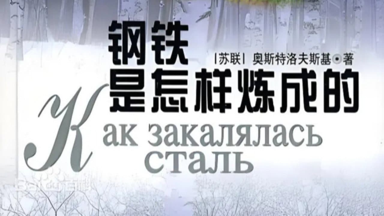 钢铁是怎样练成的