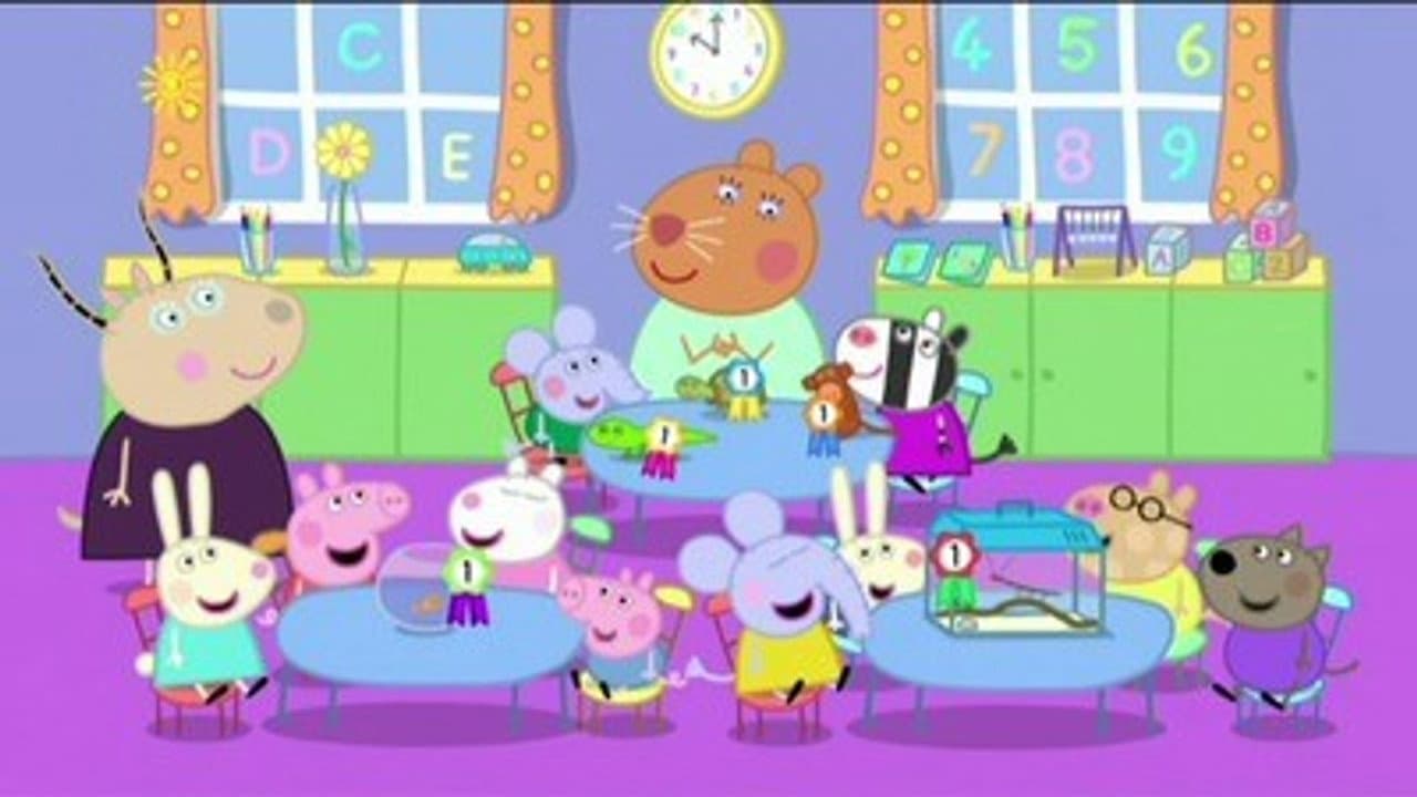 The Pet Competition