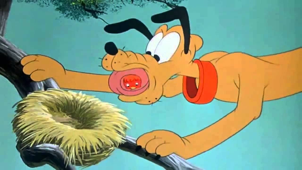 Pluto's Fledgling