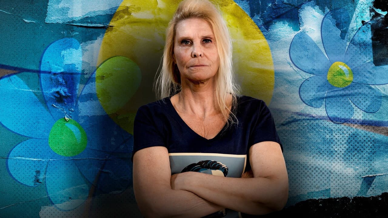 Kalla fakta: SD-fixaren