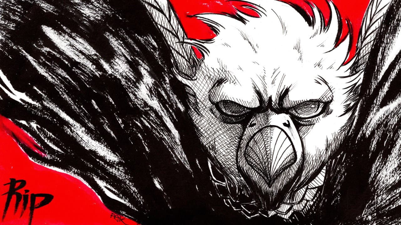 Rip the Falcon