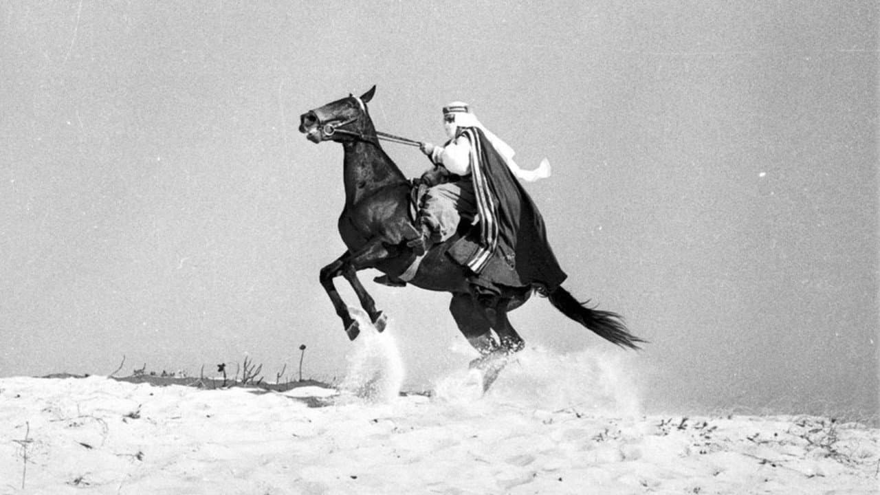 O Sheik de Agadir