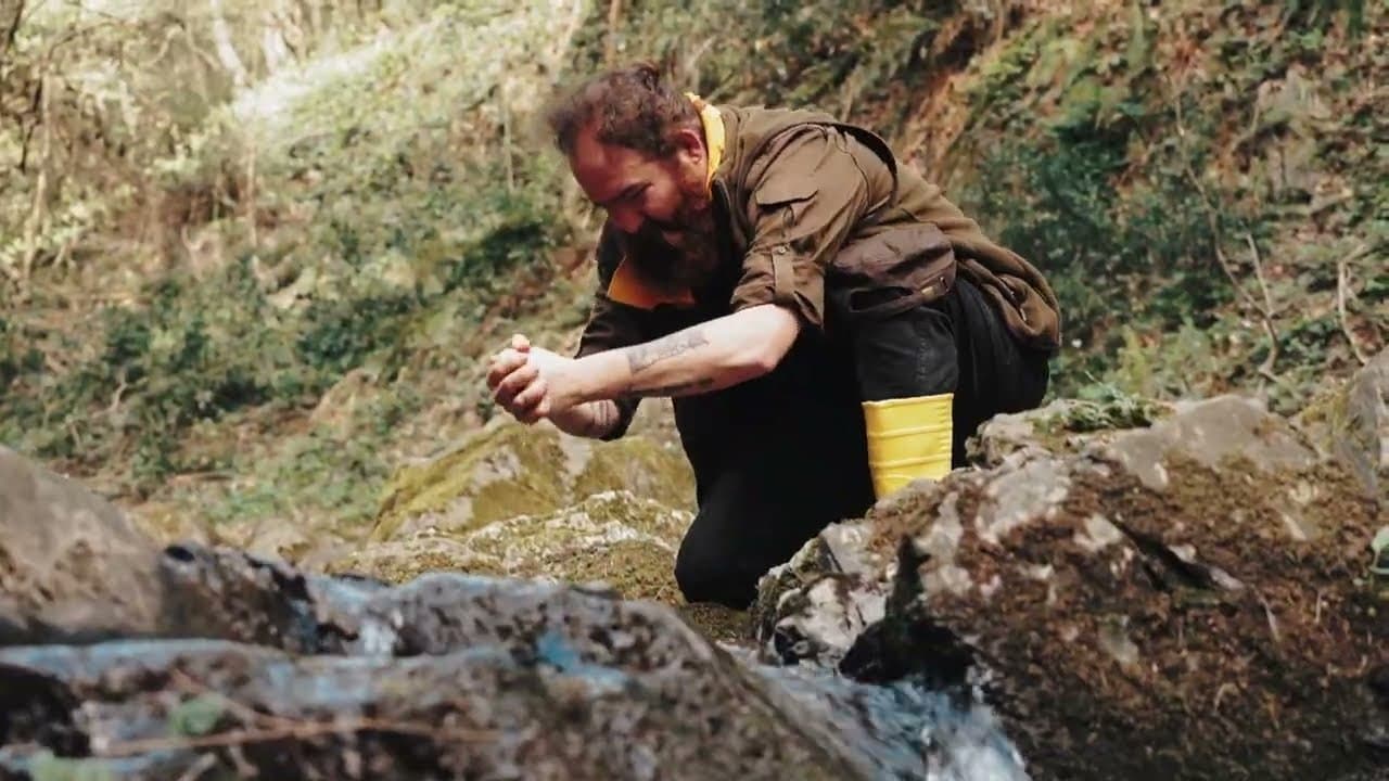 Doğanın Ateşi