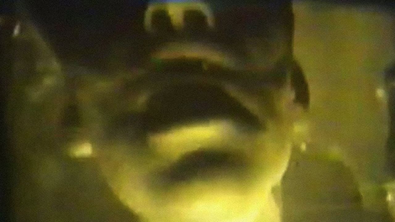 Vögel