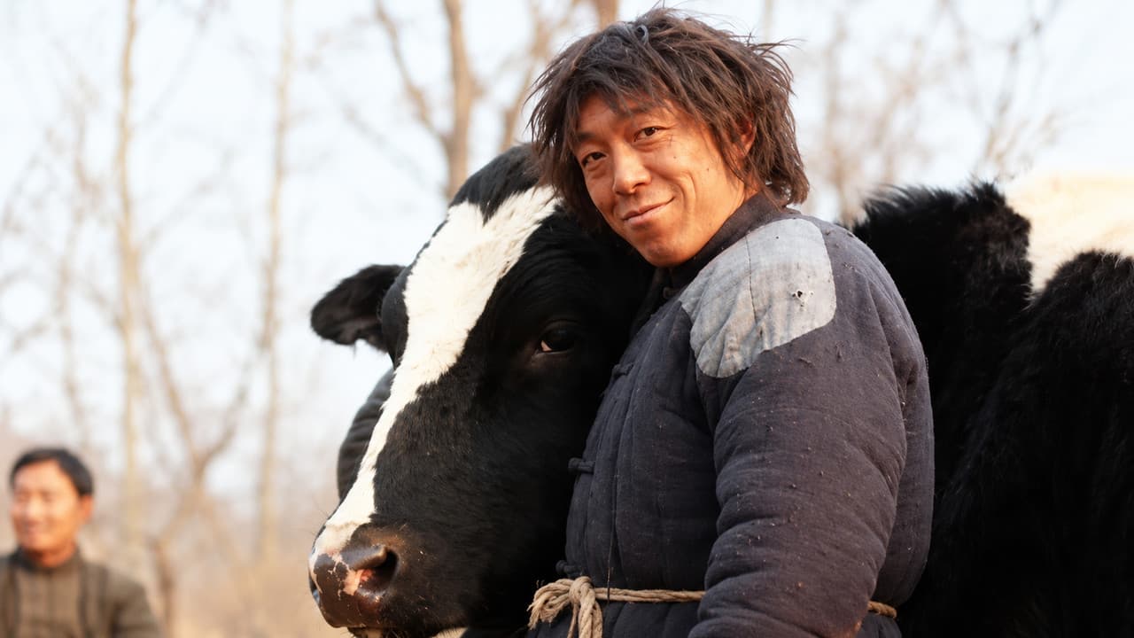 Cow