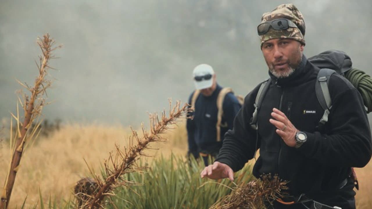 Survive Aotearoa
