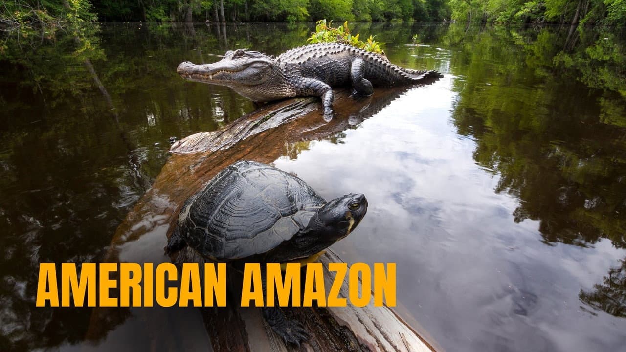 American Amazon