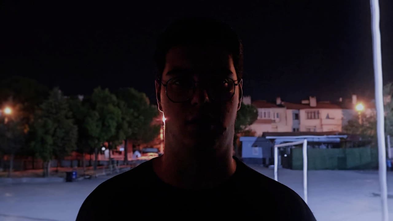 In the Shadow of the Picture