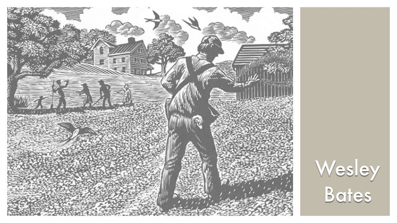 LOOK & SEE:  Wesley W. Bates - Wood Engraver