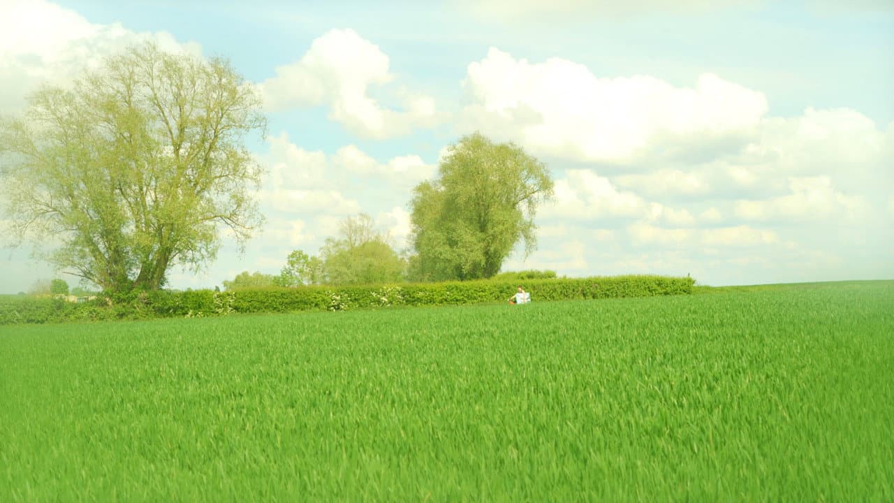 Hémisphère