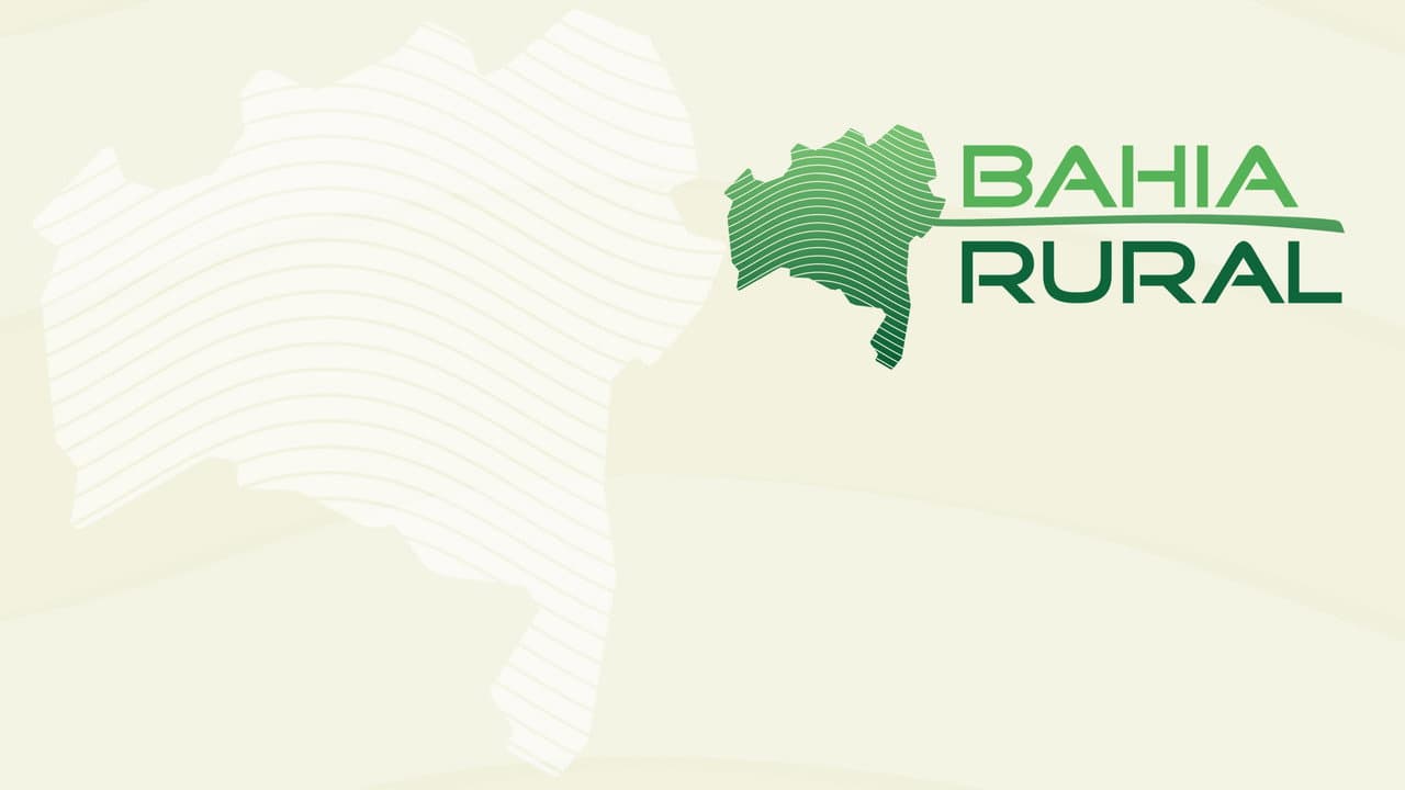 Bahia Rural