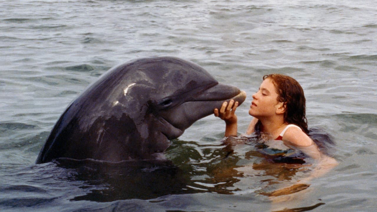 Tadpole and the Whale