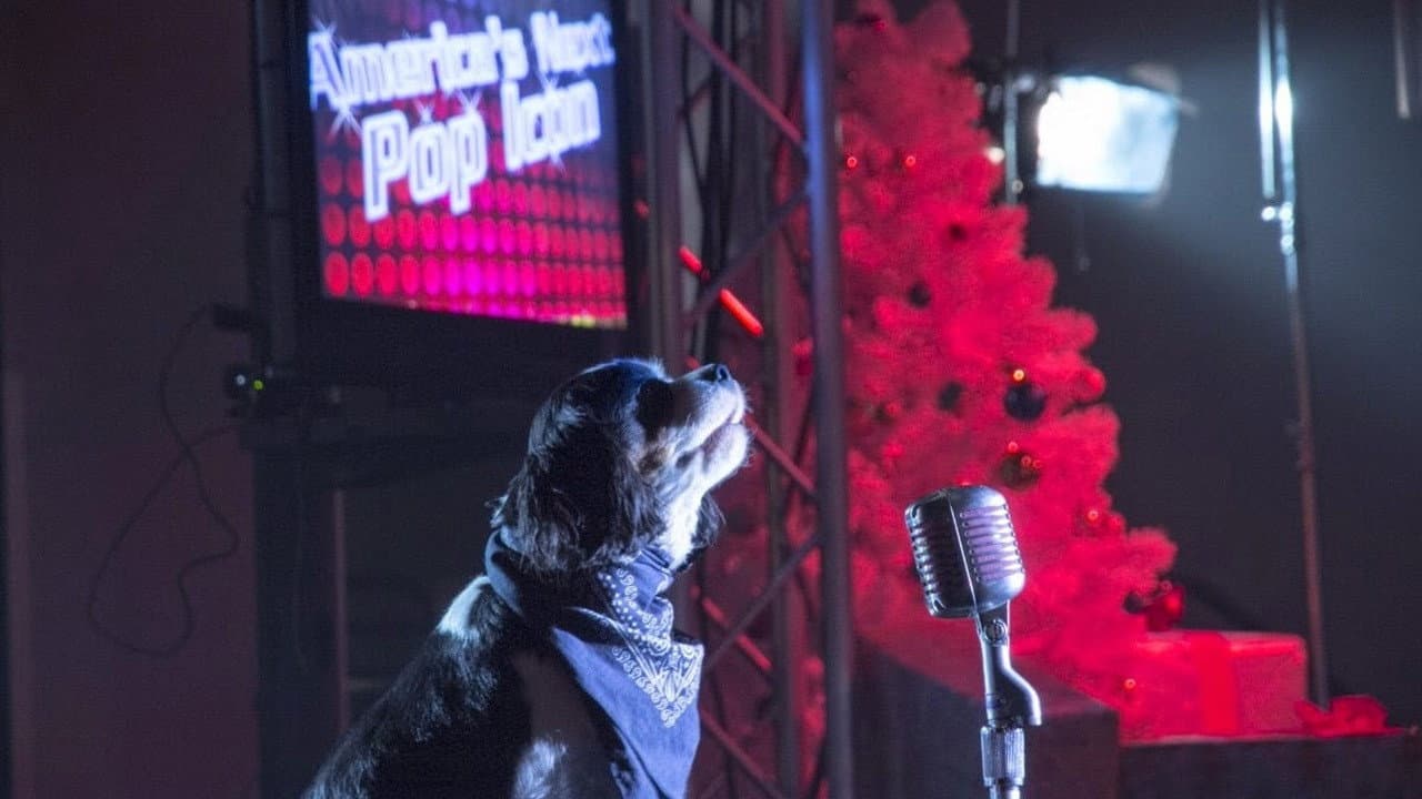 Pop Star Puppy