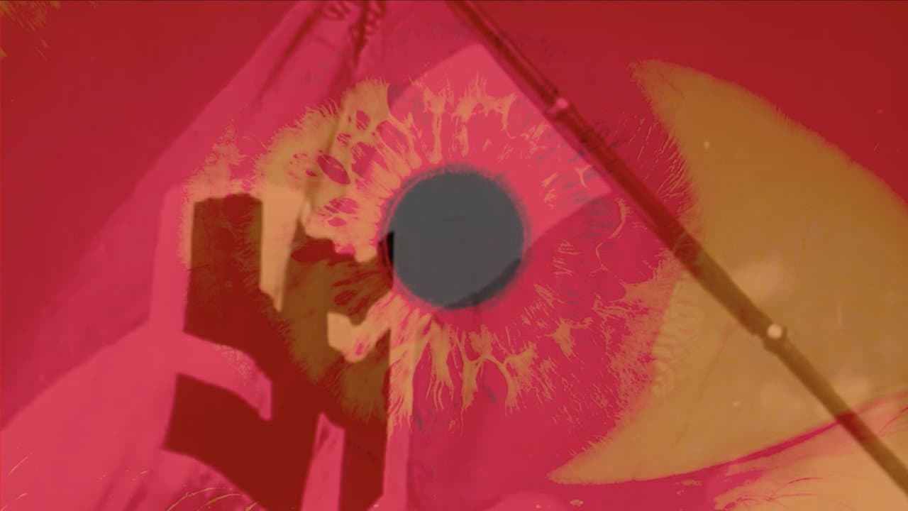 Schizophrenic perpetual hemorrhage from the reichian perspective