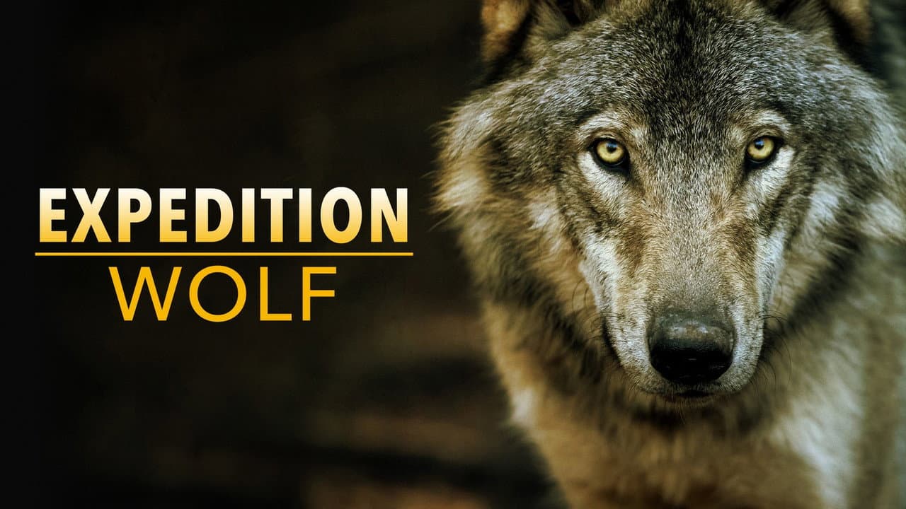 Expedition Wolf