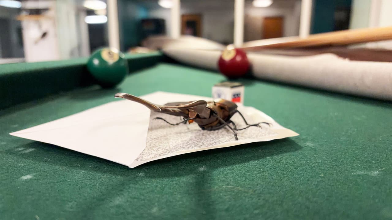 Bug Behind Schedule