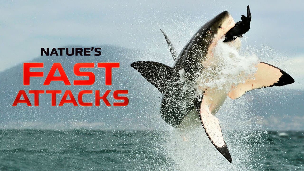 Nature's Fast Attacks