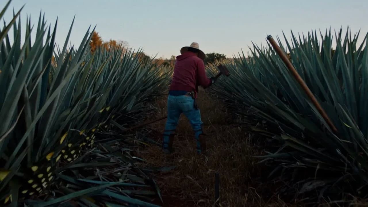 Dos estaciones
