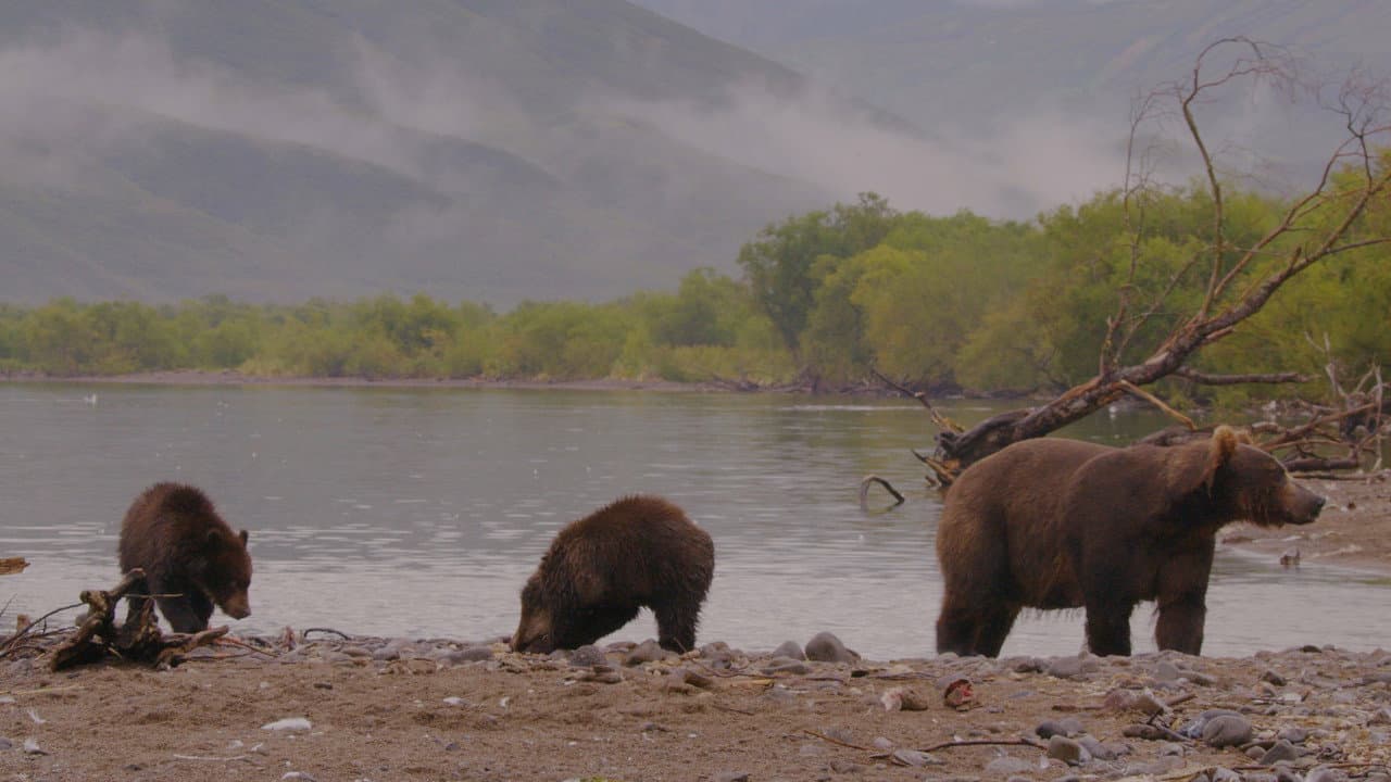Wild Edens: Russia