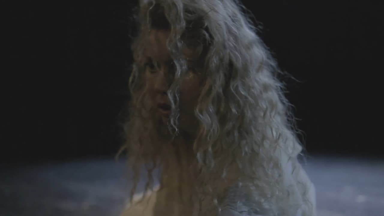 The Seagull