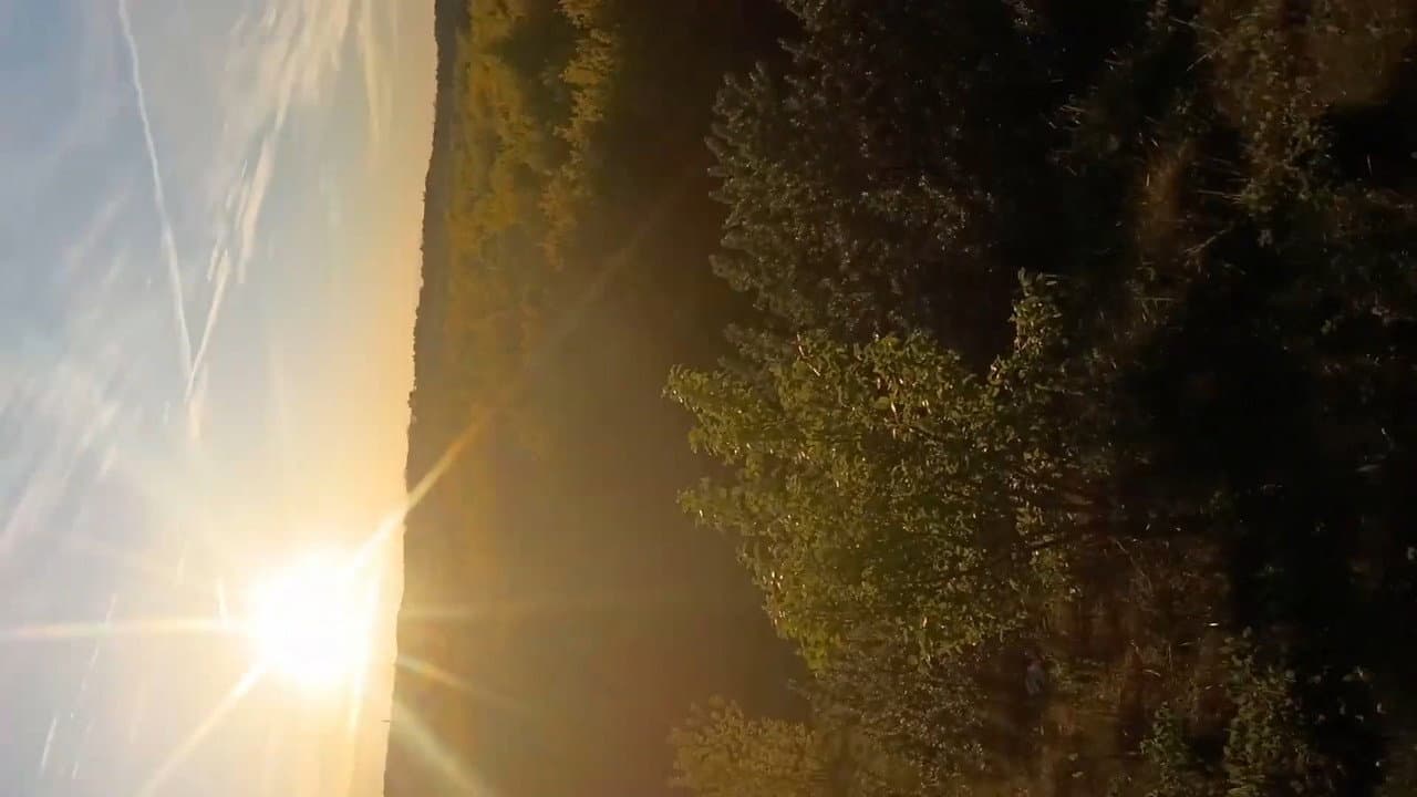 A Walk