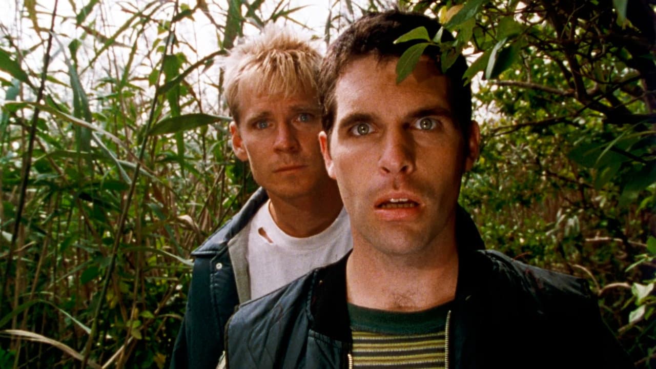 Joe & Joe
