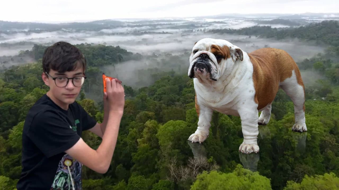 The Killer Dog: The Beast Beneath The Trees