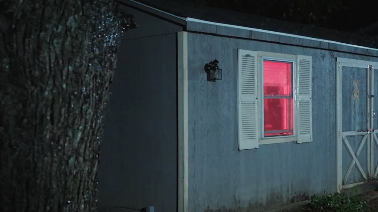 The Handyman