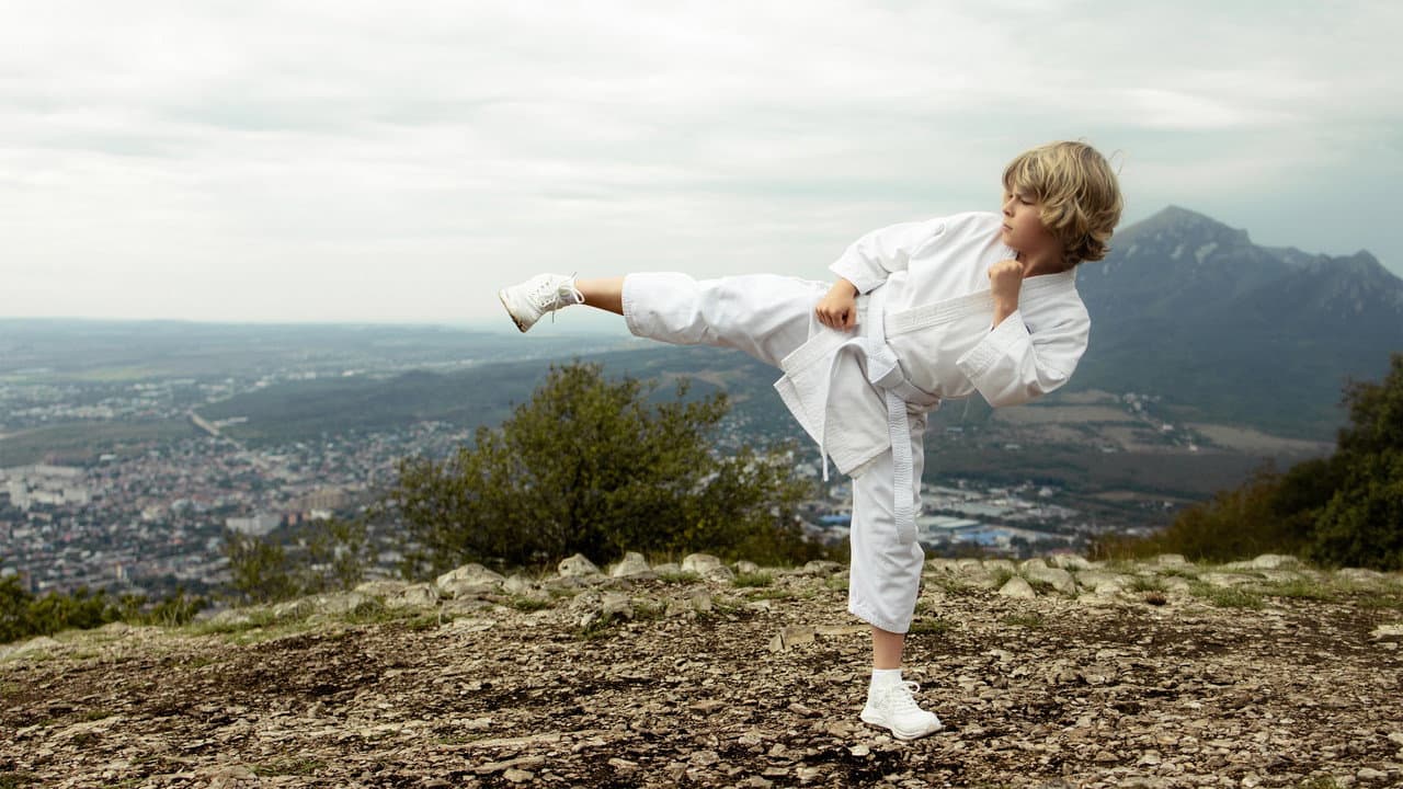 The Next Karate Kid