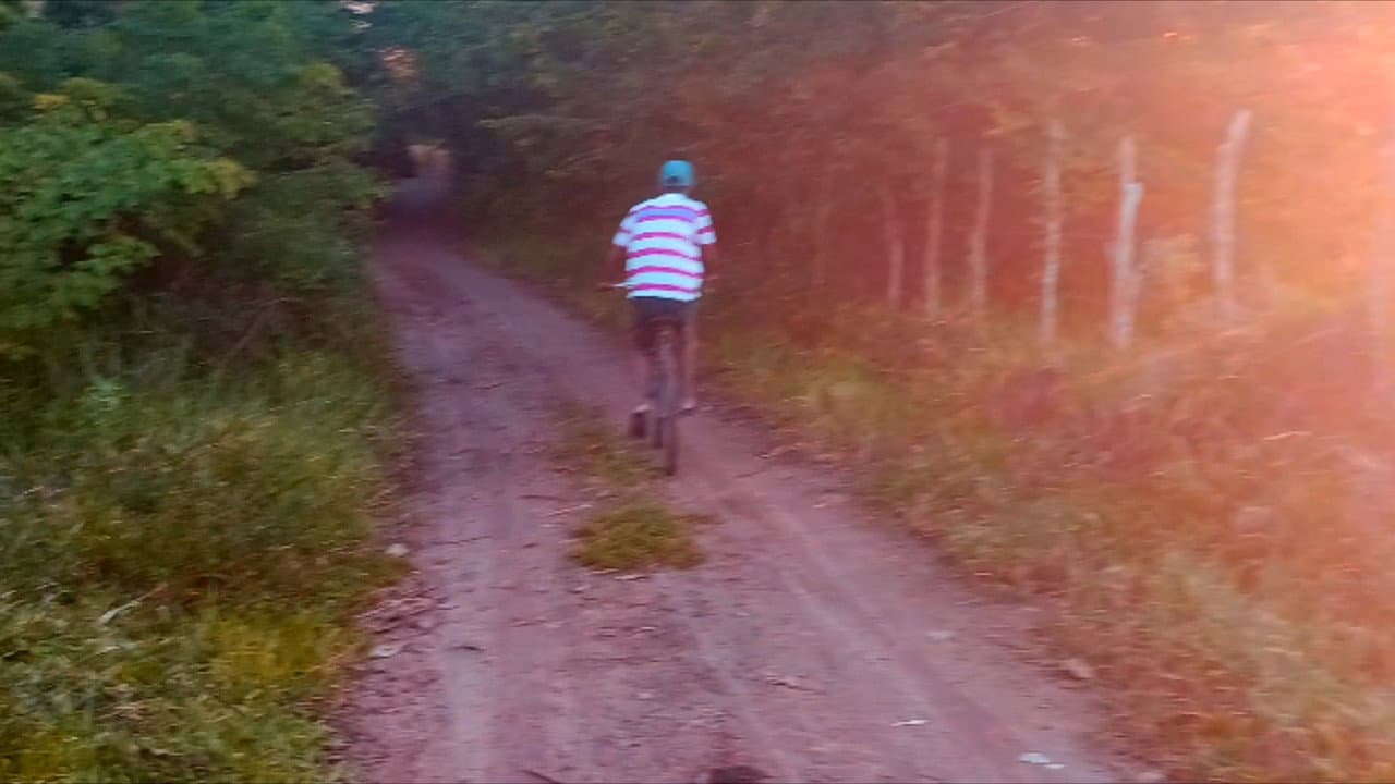 Me Dê Sua Mão, Iremos Para Floresta