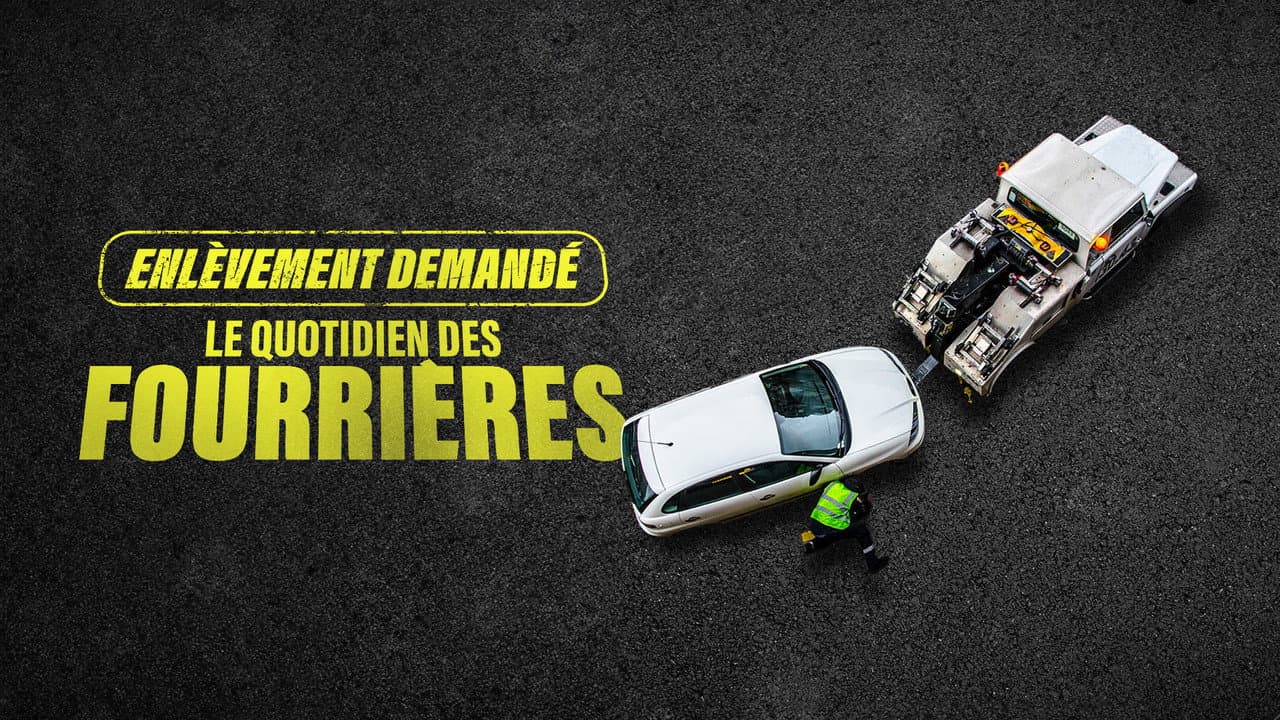 Enlèvement demandé : le quotidien des fourrières