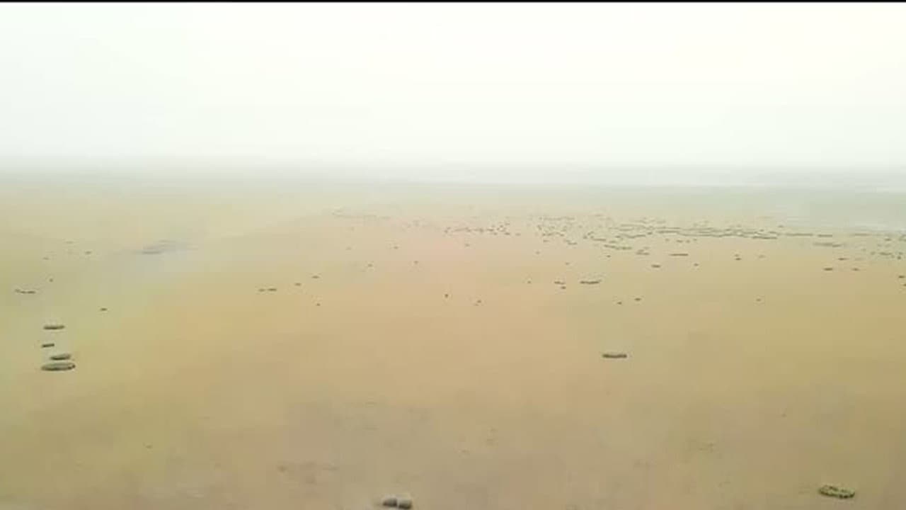 荒原风云