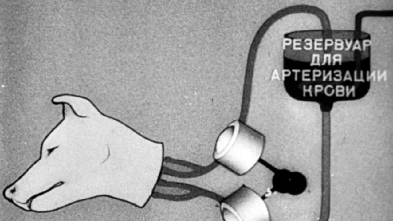 Experiments in the Revival of Organisms